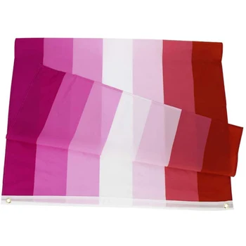 Флаг Лесбийской гордости ЛГБТ 100 шт./лот Подарочный Спортивный Яркий Цветной баннер из полиэстера размером 3x5 футов с цифровой печатью на открытом воздухе