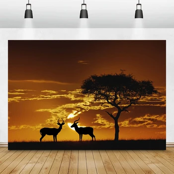 Африканская Саванна Закат Фотография заката Животные Африки Олень Фон Слон Фотосессия Украшения Реклама на стенах